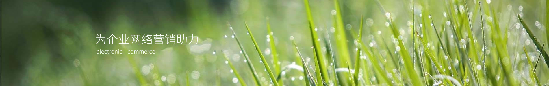 أïӿƼ޹˾